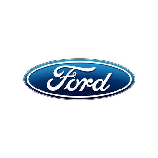 Фото підкатегорії БРИЗГОВИКИ FORD