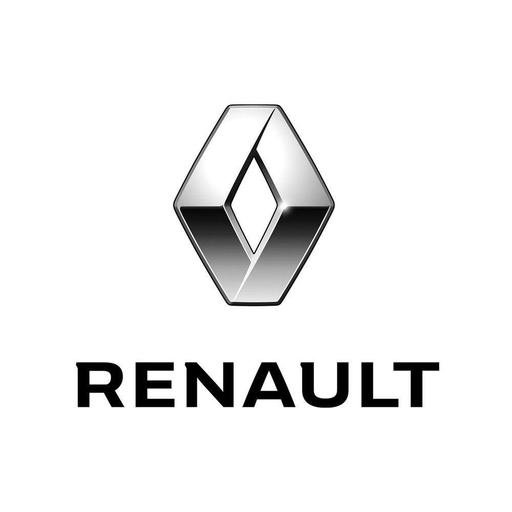 Фото підкатегорії БРИЗГОВИКИ RENAULT