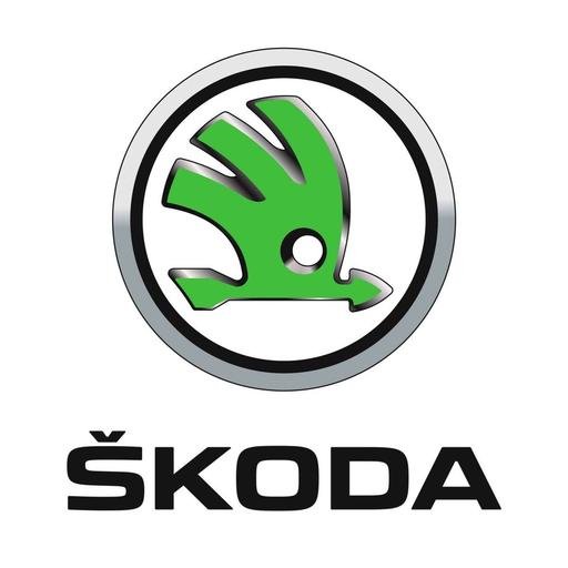 Фото підкатегорії БРИЗГОВИКИ SKODA