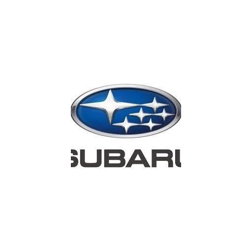 Фото підкатегорії БРИЗГОВИКИ SUBARU